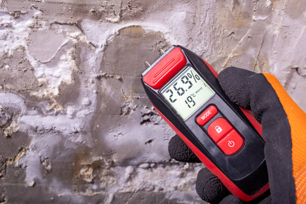 Best Post-Remediation Services in Neillsville, WI