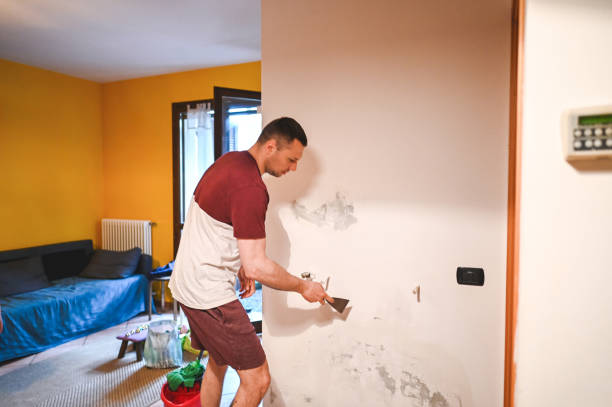 Best Health and Safety Mold Remediation in Neillsville, WI